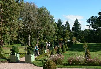 Topiary garden Couches Burgundy